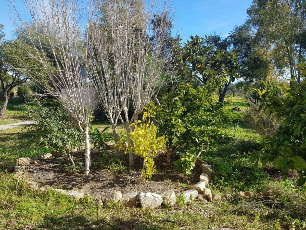 Mimosa Bilocale Cala Liberotto Exteriör bild