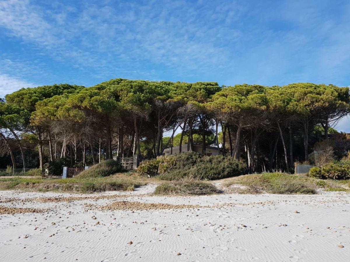 Mimosa Bilocale Cala Liberotto Exteriör bild