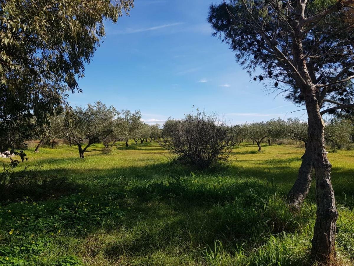Mimosa Bilocale Cala Liberotto Exteriör bild