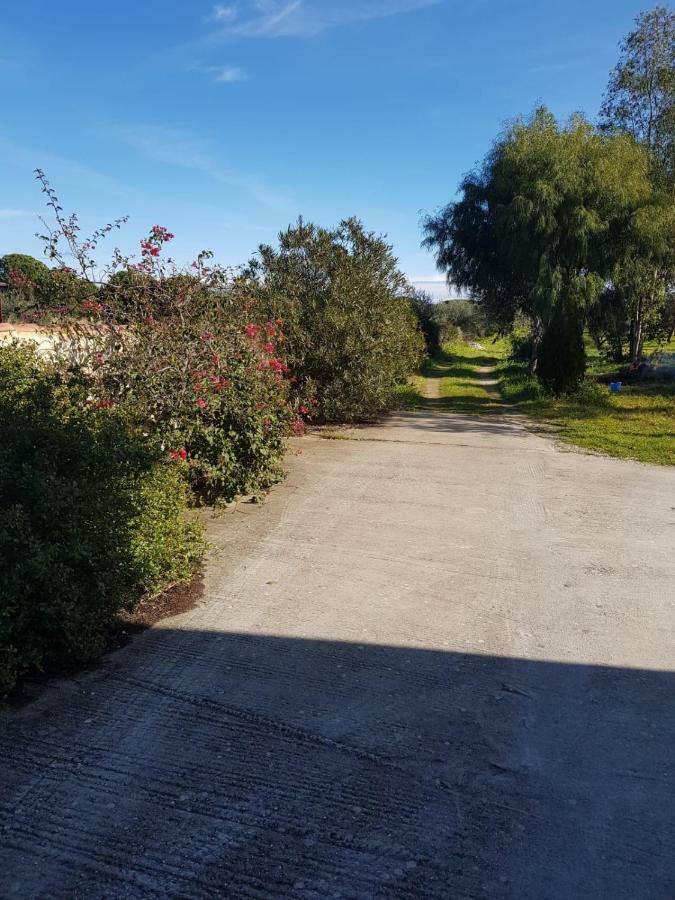 Mimosa Bilocale Cala Liberotto Exteriör bild