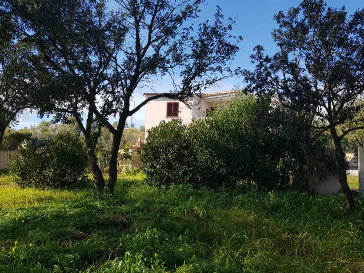 Mimosa Bilocale Cala Liberotto Exteriör bild