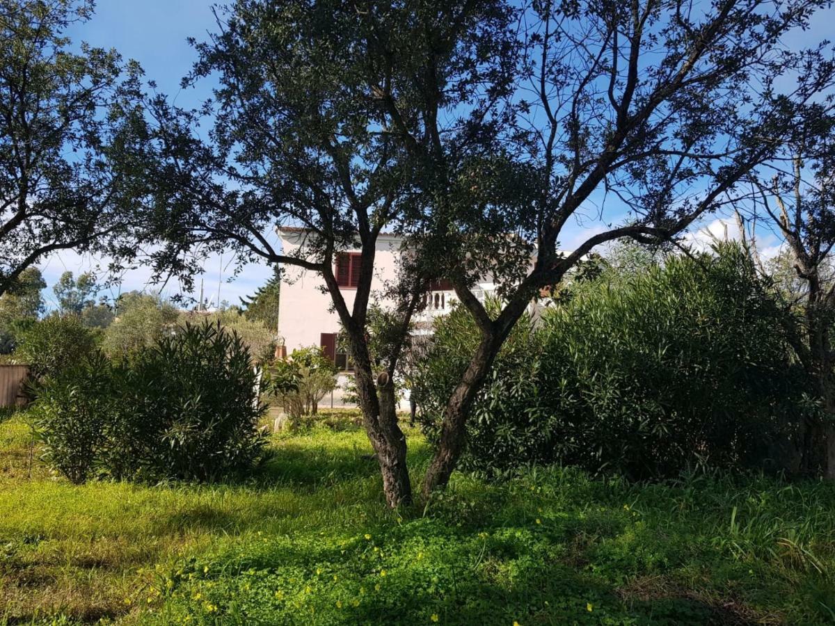 Mimosa Bilocale Cala Liberotto Exteriör bild