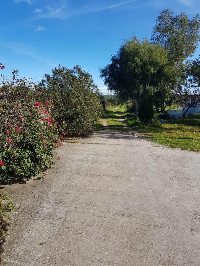 Mimosa Bilocale Cala Liberotto Exteriör bild