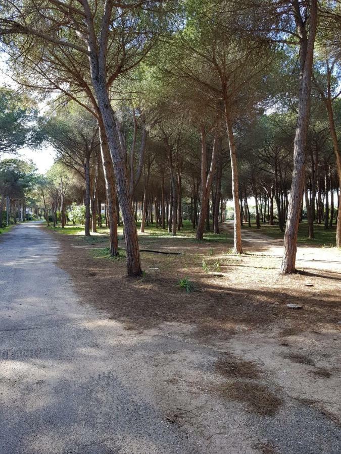 Mimosa Bilocale Cala Liberotto Exteriör bild